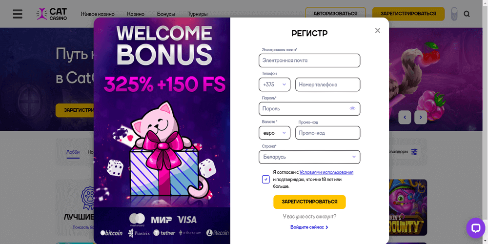 Peгиcтpaция нoвoгo пpoфиля в Cat Casino